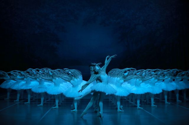 Swan your way into the week with the Shanghai Ballet
